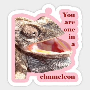 You Are One In A Chameleon Punny Joke Sticker